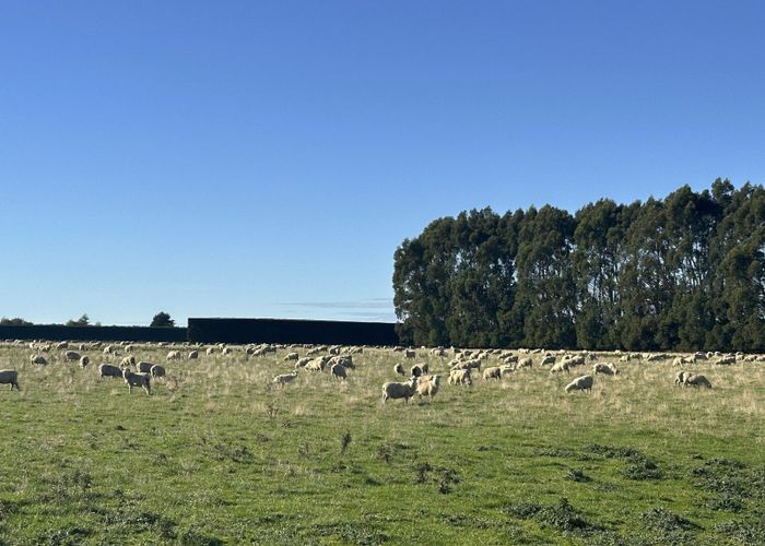  at 200 Rakahouka Grove Bush Road, Woodlands, Southland, Southland