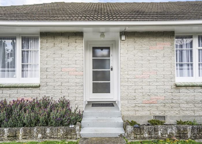  at 47 Tennyson Street, Petone, Lower Hutt