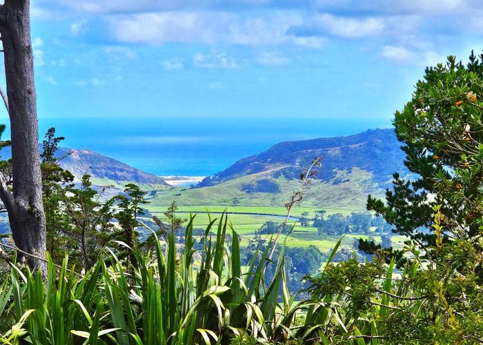  at 416 Pinehill Rd, Waimamaku, Far North, Northland