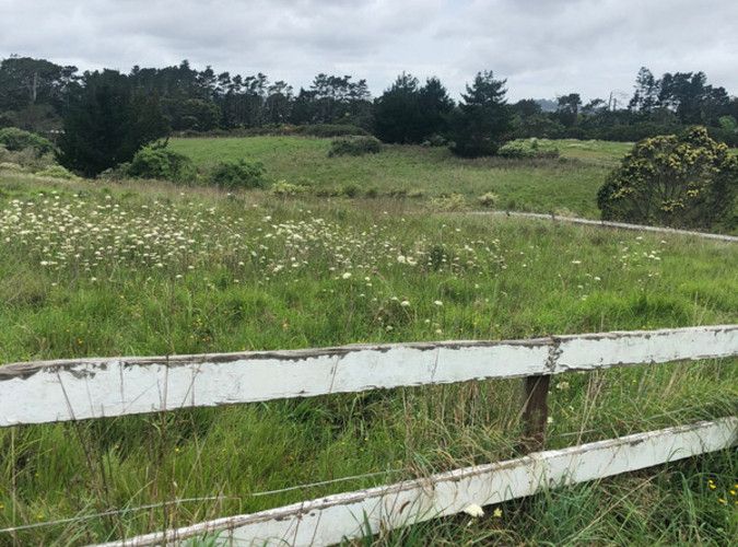  at 123 Totara Road, Whenuapai, Auckland