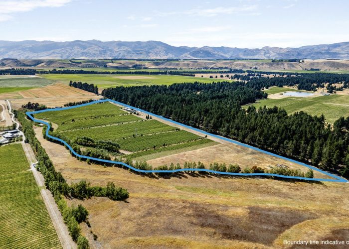  at 413 Maori Point Road, Tarras, Central Otago, Otago