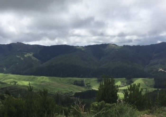  at Lot 12/669 Paekakariki Hill Road, Pauatahanui, Porirua, Wellington