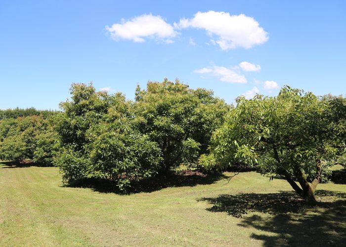  at 334 Wharawhara Road, Katikati