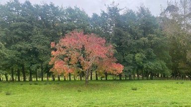  at 329E Paekakariki Hill Road, Paekākāriki Hill, Porirua