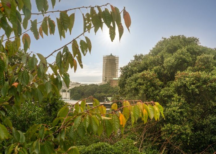  at 28W Bidwill Street, Mount Cook, Wellington, Wellington