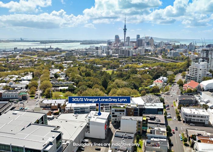  at 301/11 Vinegar Lane, Grey Lynn, Auckland City, Auckland