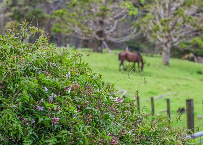  at Lot 3, 10 Kraack Road, Warkworth, Rodney, Auckland