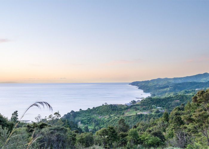  at 98 Tapu Rise Heights, Tapu, Thames-Coromandel, Waikato