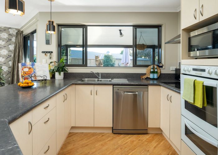  at 35 Forest Park Drive, Witherlea, Blenheim
