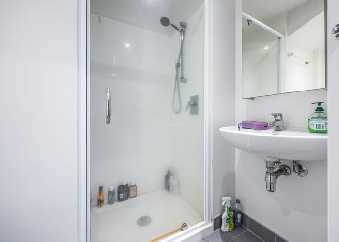  at 109/207 Federal Street, City Centre, Auckland City, Auckland