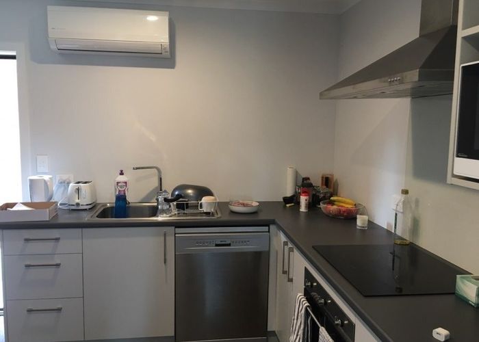  at 12 Pippa Lane, Chartwell, Hamilton, Waikato