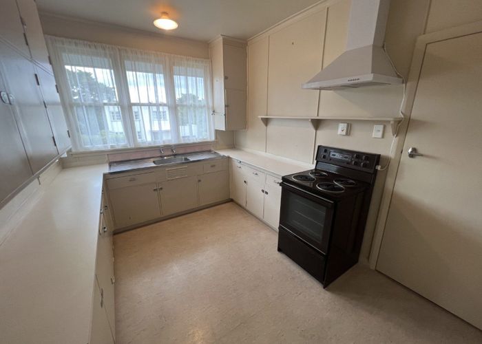  at 293 Park Road, Hokowhitu, Palmerston North, Manawatu / Whanganui