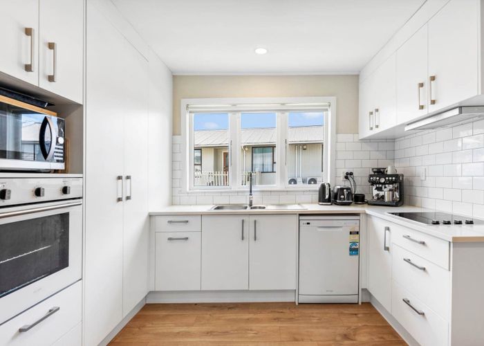  at 165 Hendon Avenue, Mount Albert, Auckland City, Auckland