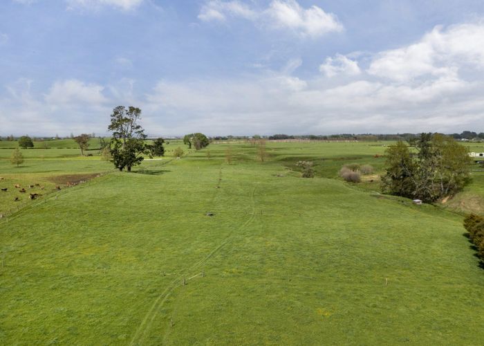  at 333 Horotiu Road, Te Kowhai, Waikato, Waikato