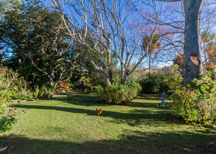  at 82 Avondale Road, Taradale, Napier, Hawke's Bay