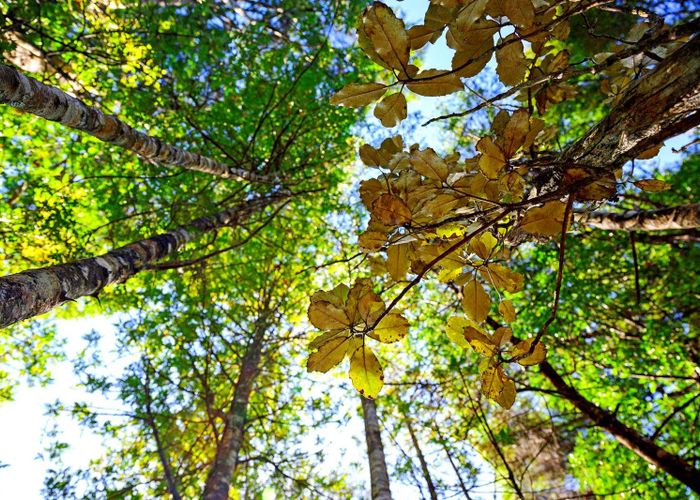  at 362 Wright Road, Dairy Flat, Rodney, Auckland