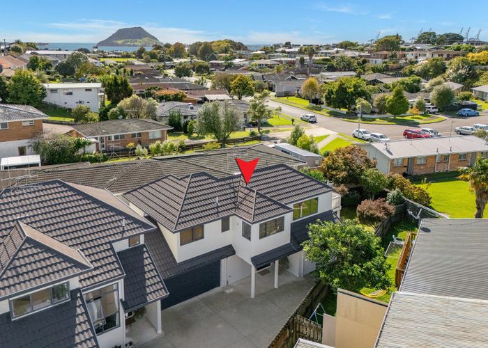  at 48A Pine Avenue, Otumoetai, Tauranga, Bay Of Plenty