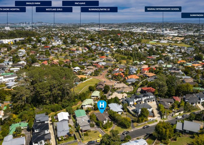  at 17 Morton Avenue, Forrest Hill, North Shore City, Auckland