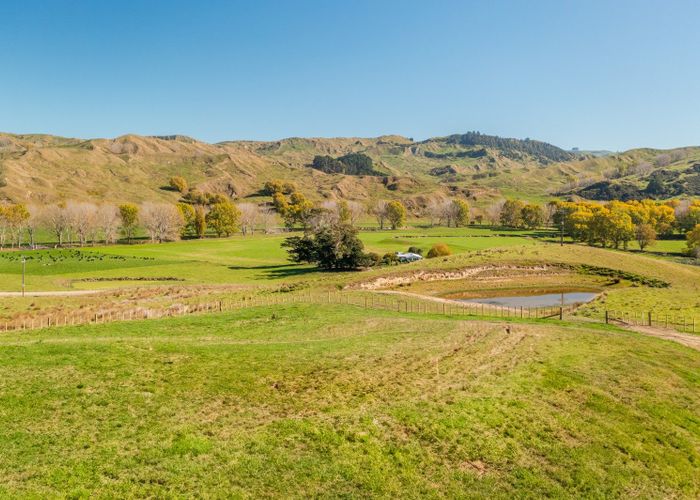  at Lot 2, 169 Williams Road, Elsthorpe, Central Hawke's Bay, Hawke's Bay