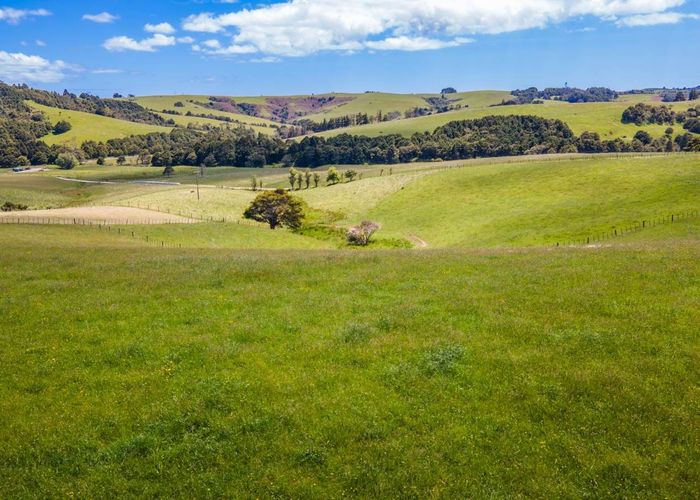  at 219 Tapu Bush Road, Wellsford, Rodney, Auckland