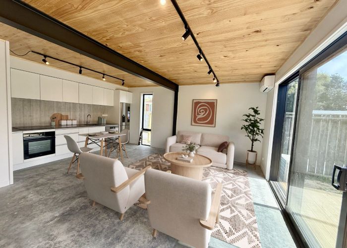  at 217B Oxford Terrace, Avalon, Lower Hutt, Wellington