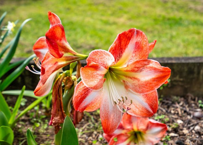  at 63 Morgan Road, Whangarei