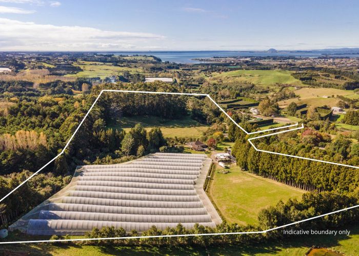  at 234 Willoughby Road, Katikati