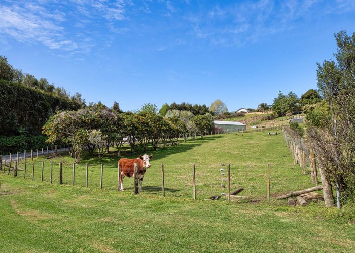  at 82 Snodgrass Road, Te Puna, Western Bay Of Plenty, Bay Of Plenty