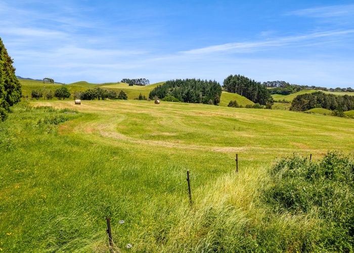  at 160 Sealy Road, Omata, New Plymouth, Taranaki