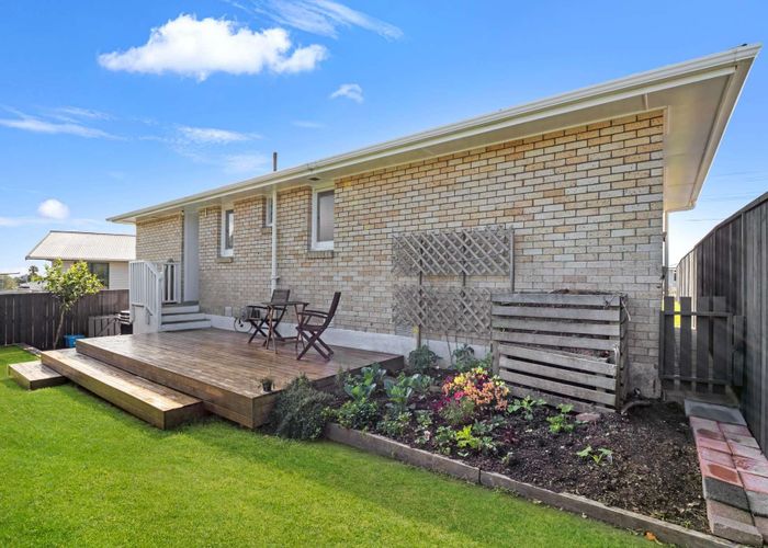  at 53 Hynds Road, Gate Pa, Tauranga, Bay Of Plenty