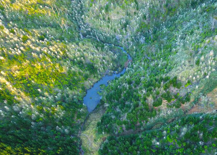  at Lot 2 Waiotehue Road, Broadwood, Far North, Northland