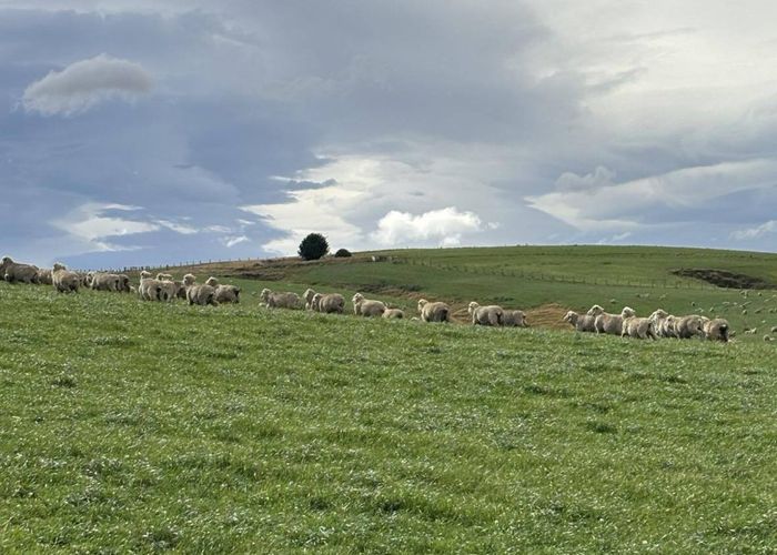  at 612 Oven Hill Road, Millers Flat, Central Otago, Otago