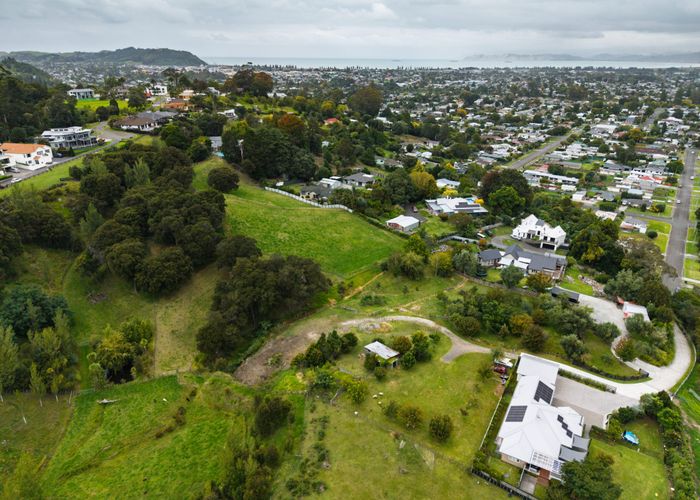  at 59 Ayton Street, Mangapapa, Gisborne, Gisborne