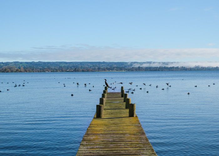  at 20 Tupara Crescent, Kawaha Point, Rotorua, Bay Of Plenty