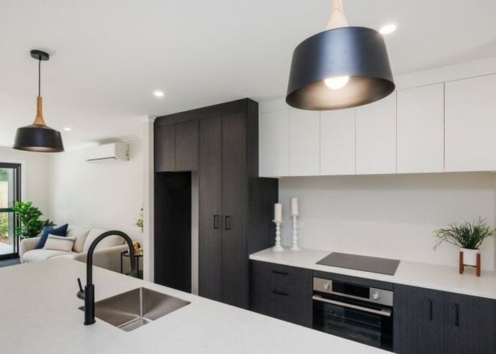  at 103 Botanical Road, Takaro, Palmerston North, Manawatu / Whanganui