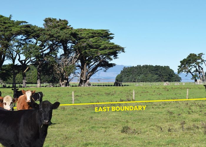  at 523 Western Lake Road, Western Lake, Featherston