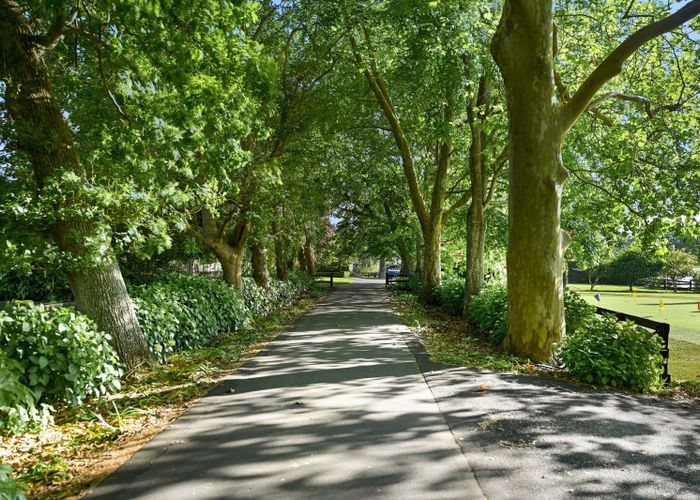  at 342B Tamahere Drive, Tamahere, Hamilton