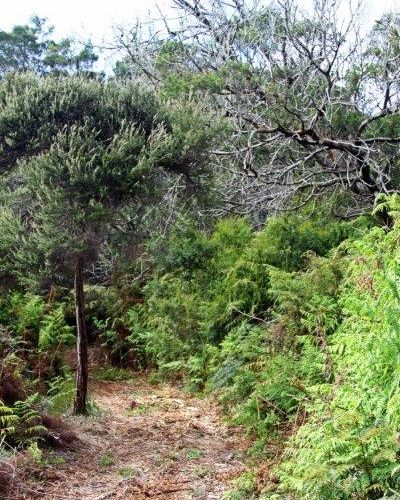  at 63 Trig Road, Kaitaia