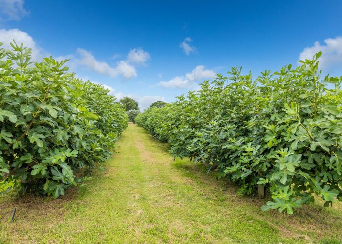  at 32 Ohinewai Road, Ohinewai, Waikato, Waikato