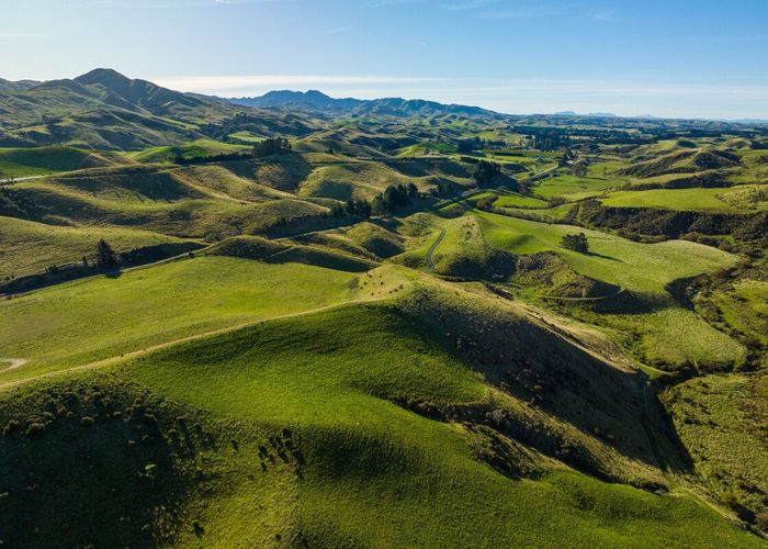  at 7797 State Highway 1, Ward, Marlborough, Marlborough