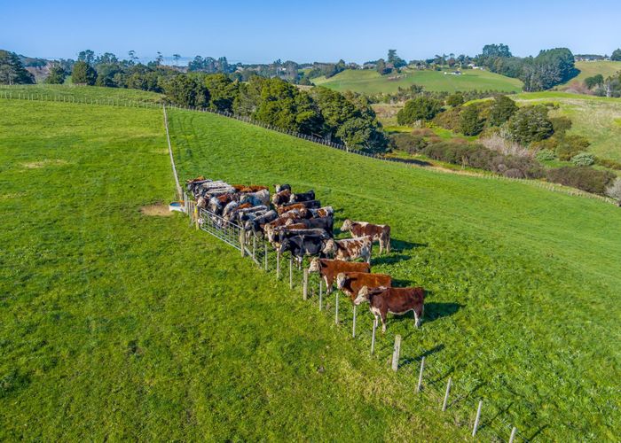  at 137 Kingseat Road, Patumahoe, Pukekohe