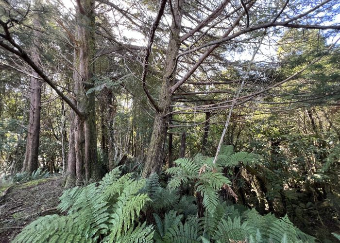  at 137 Clifton Road, Kaiata, Greymouth