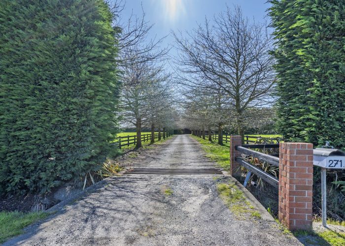 For sale 271 Harmans Road, Leeston, Selwyn, Canterbury homes.co.nz