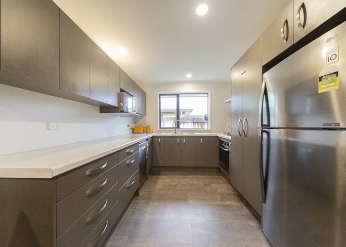  at 67 Balrickard Way, Milson, Palmerston North