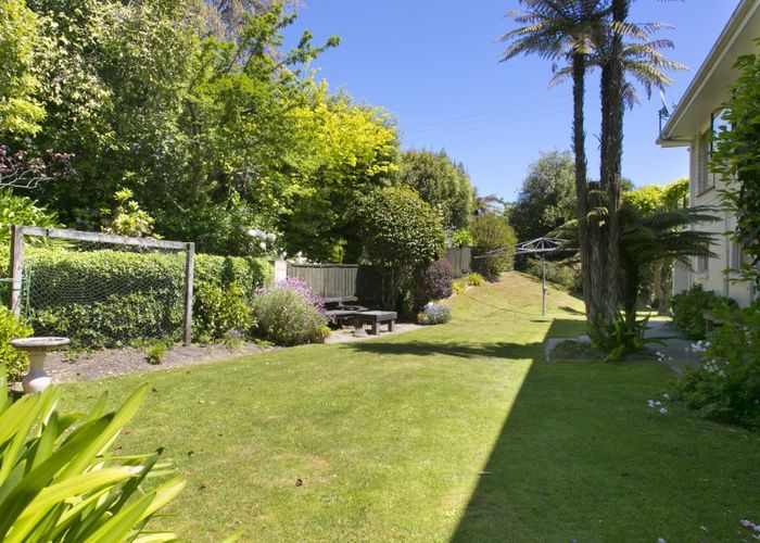  at 19 Harvey Street, Waipahihi, Taupo