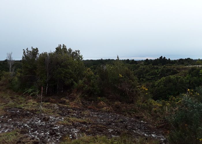  at 8 Little Paddock, BLUE SPUR, HOKITIKA