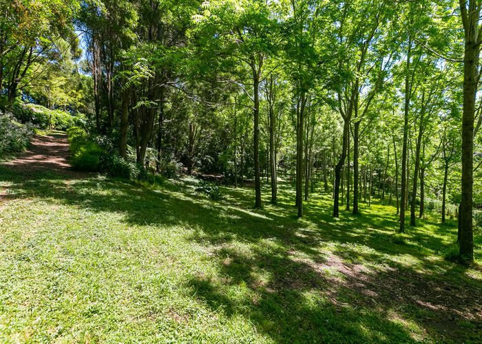  at 88C PAHOIA ROAD, Whakamarama, Tauranga