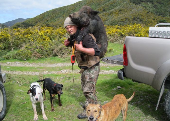  at 500 Coast Road, Wainuiomata Coast, Lower Hutt