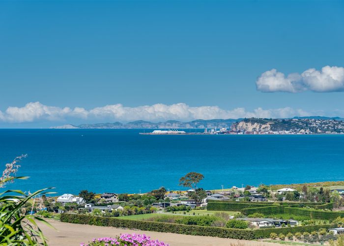  at 787 Main North Road, Bay View, Napier