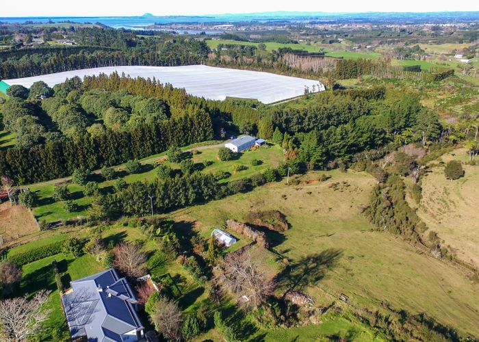  at 167 Woodland Road, Tahawai, Katikati